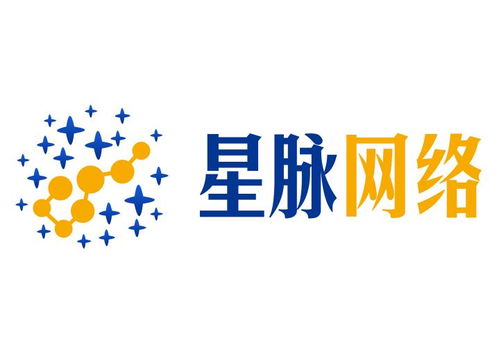 任丘市星脈網絡科技